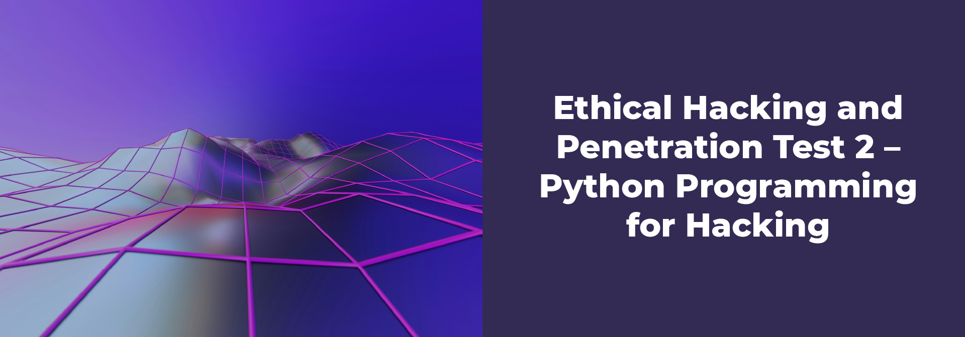 Ethical Hacking and Penetration Test 2 – Python Programming for Hacking